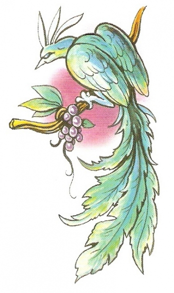 Card image cap